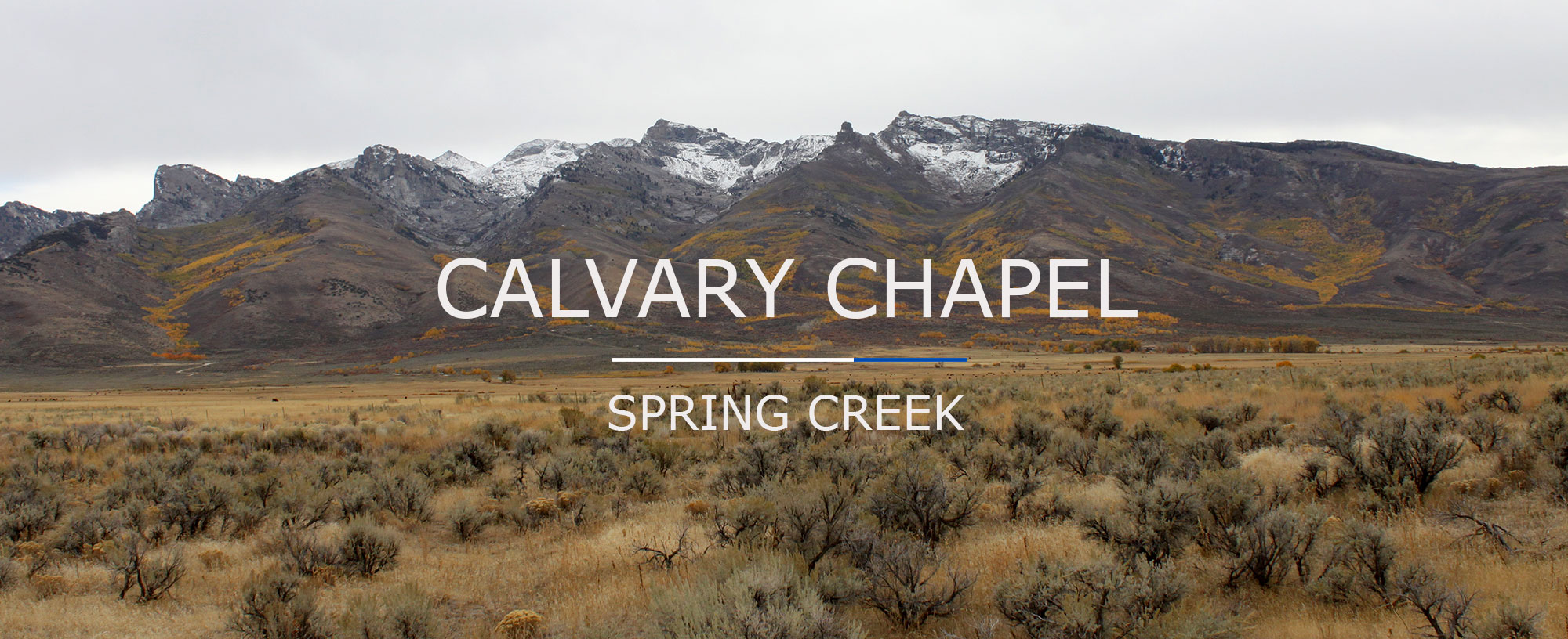 mountains and bushes